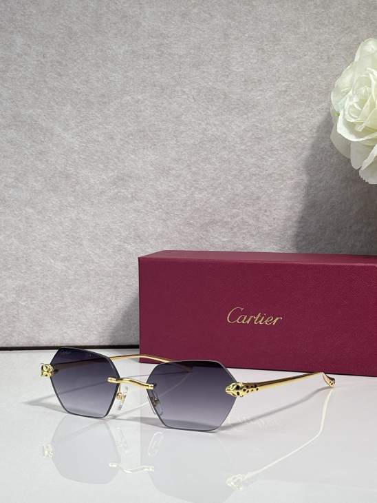 Picture of Cartier Sunglasses _SKUfw79724112fw